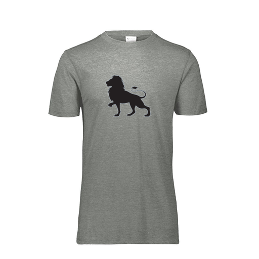 [FTSCUBGY-AS-LOGO2] Decker Men's Tri-Blend T-Shirt - Short Sleeve (Adult S, Gray, Logo 2)