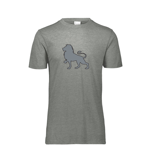[FTSCUBGY-YS-LOGO1] Decker Youth Tri-Blend T-Shirt - Short Sleeve (Youth S, Gray, Logo 1)