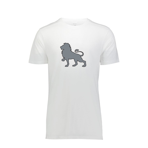 [FTSCUBWH-YS-LOGO1] Decker Youth Tri-Blend T-Shirt - Short Sleeve (Youth S, White, Logo 1)