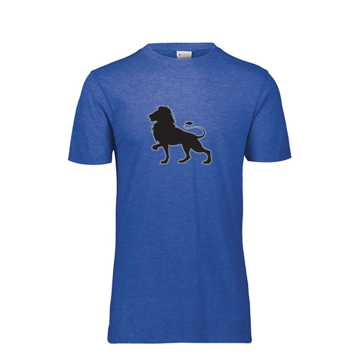 [FTSCUBRY-YS-LOGO2] Decker Youth Tri-Blend T-Shirt - Short Sleeve (Youth S, Royal, Logo 2)