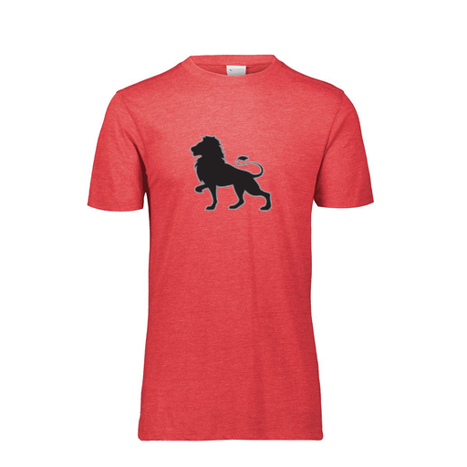 [FTSCUBRD-YS-LOGO2] Decker Youth Tri-Blend T-Shirt - Short Sleeve (Youth S, Red, Logo 2)