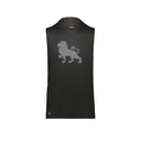 Men's CoolDry Sleeveless Hoodie