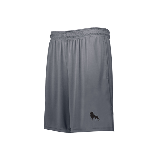 [229611.059.S-LOGO2] Youth Swift Short (Youth S, Gray, Logo 2)